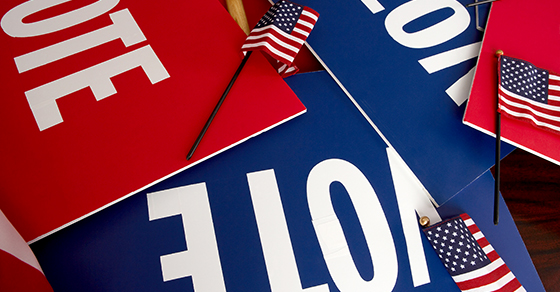 voting signs & American flags