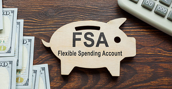 Money, calculator, and a pig with the letters FSA on it.